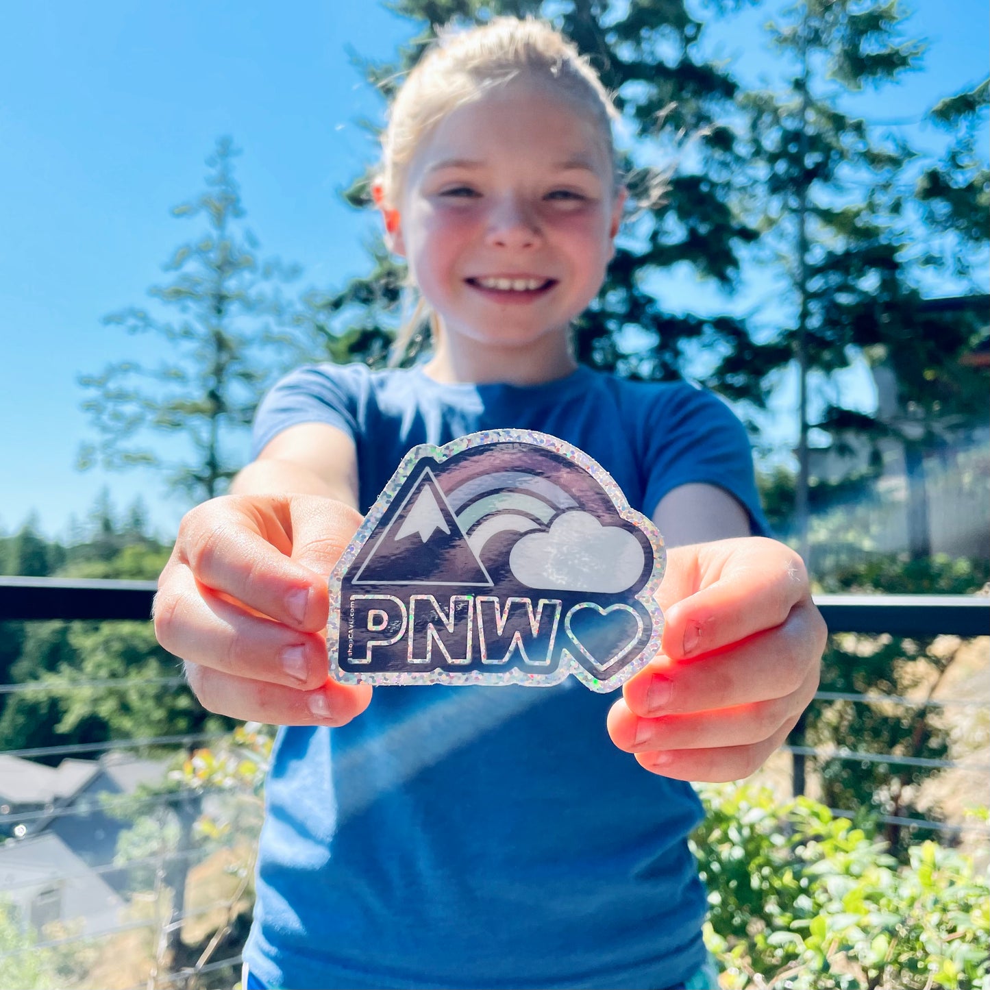 Rainbows + Mountain Glitter PNW 3” Sticker / Decal