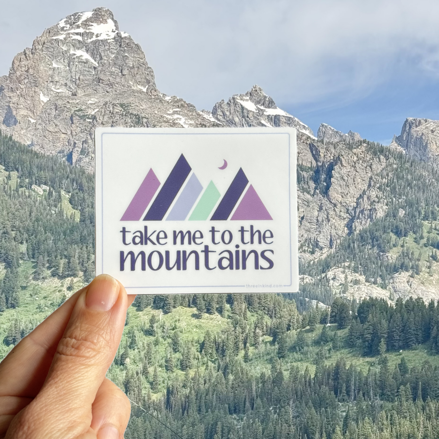 Take Me to the Mountains Color Block 3” Sticker / Decal