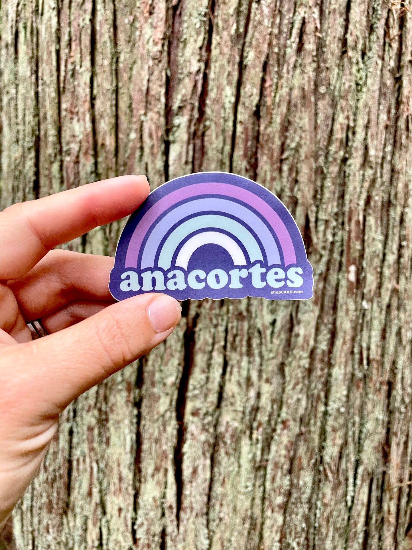 Anacortes Rainbow 3” Sticker / Decal