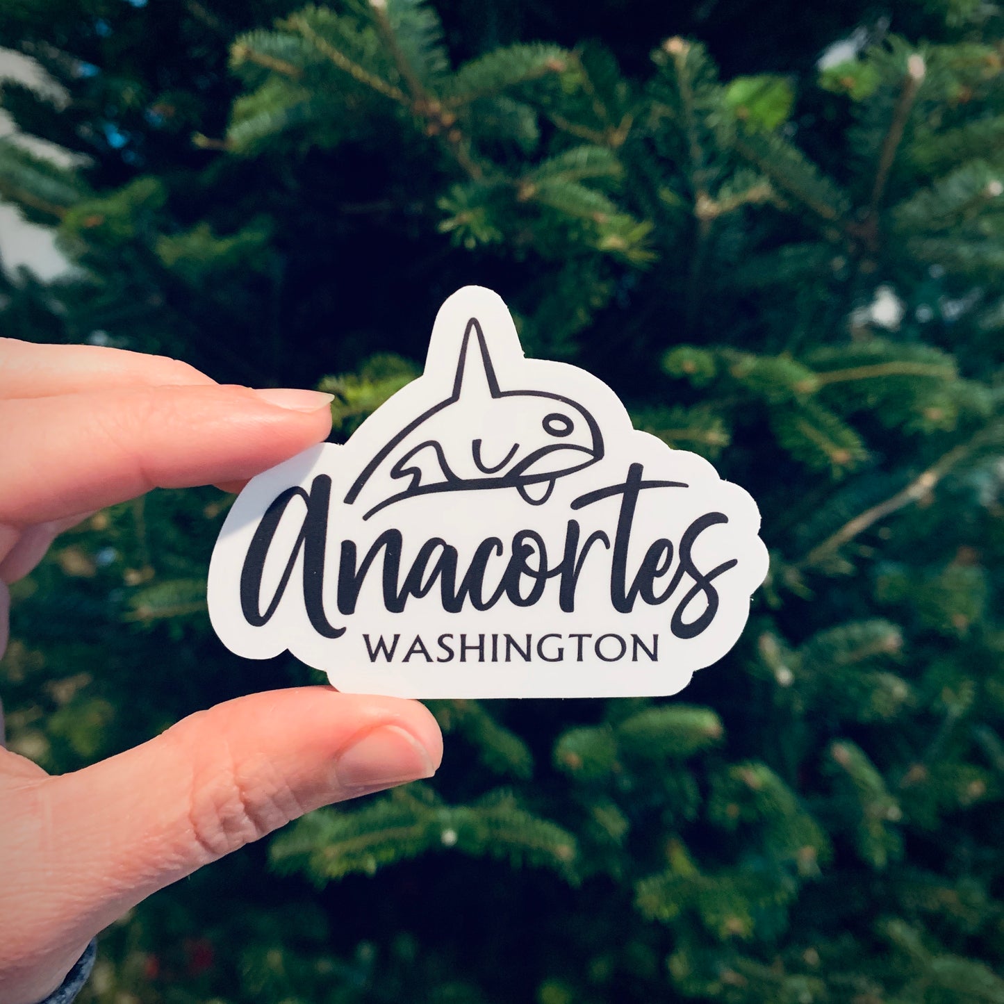 Sticker / Decal - Anacortes Orca 3” - CAVU Creations