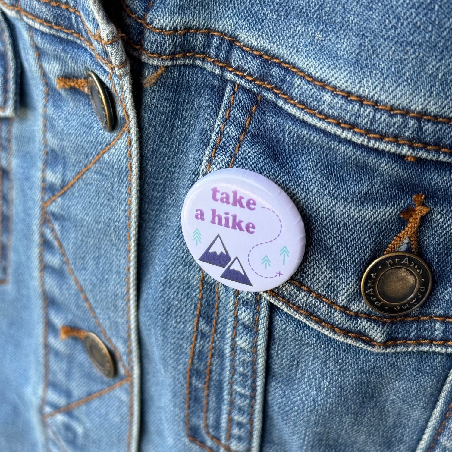 Button Pins