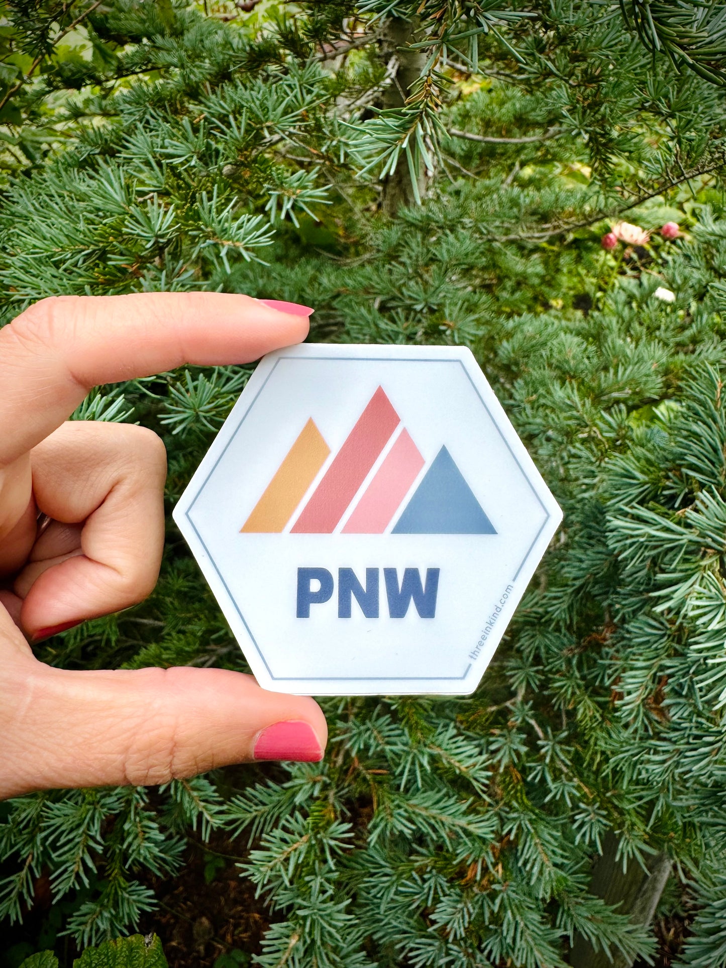 Hexagon PNW Color Block Mountains 3” Sticker / Decal