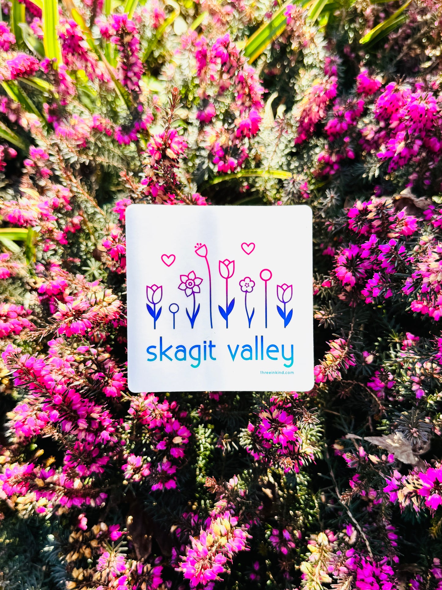 Skagit Valley Flowers 3” Sticker / Decal
